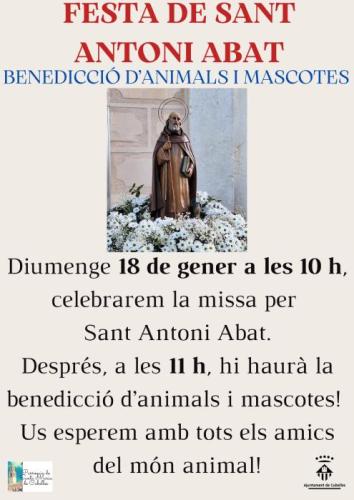 140126 benediccio_sant_antoni.jpeg