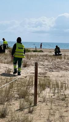 180925 ACTUACIÓ ZONA DUNAR PLATJA MOTA 1.jpg