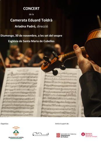 181125 Concert de la Camerata Eduard Toldrà (1).png
