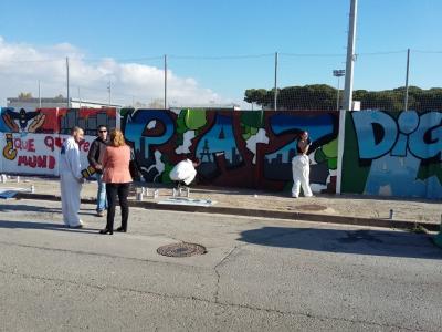Mur Institut 1