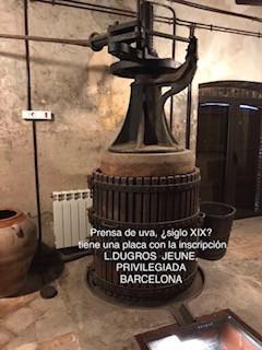can-aleix-2.jpg