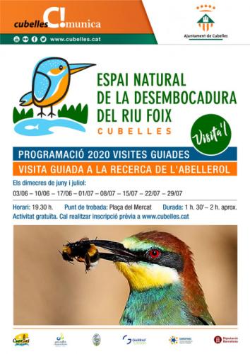 cartell visites abellerol 2020.jpg