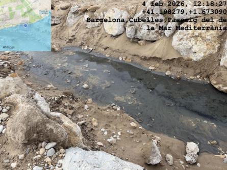 CAUTXU MOTA VEI 090226 (1).jpeg