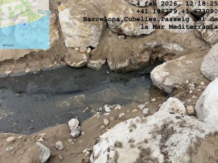 CAUTXU MOTA VEI 090226 (2).jpeg