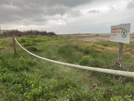 DESEMBOCADURA PLATJA MOTA 050326 (8).JPG