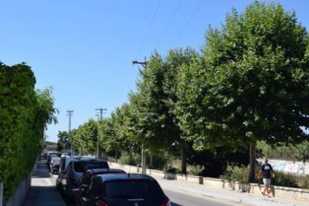 esporgat-arbres-raval-del-torrent-2019-redim-w450-h450.jpg