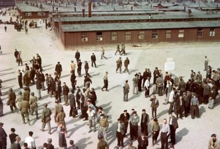 HOLOCAUST.jpg