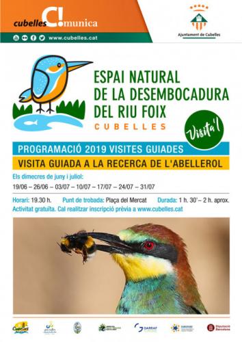 muestra-cartel-recerca-abellarol.jpg