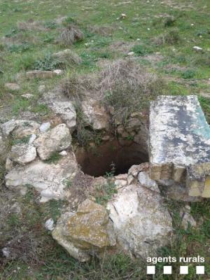 Ovella rurals 1