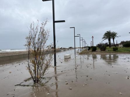 TEMPORAL LLEVANTADA PASSEIG MARÍTIM PLATJA LLARGA 200126 (1).JPG