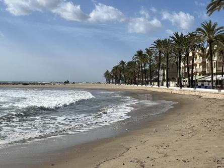 TEMPORAL VENT I MAR 231025 (1).JPG