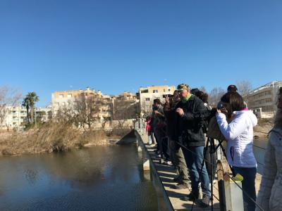 Visita foix 2