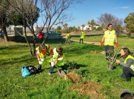 Visita foix